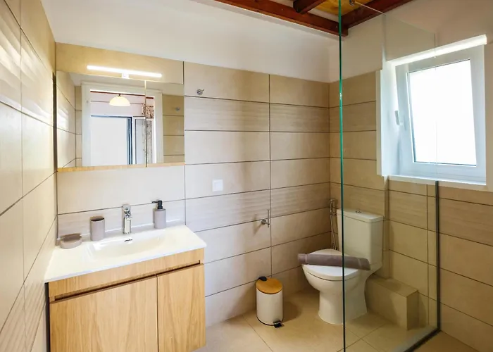 Elli Epavlis Private Pool Starlink Wifi Near Barbati