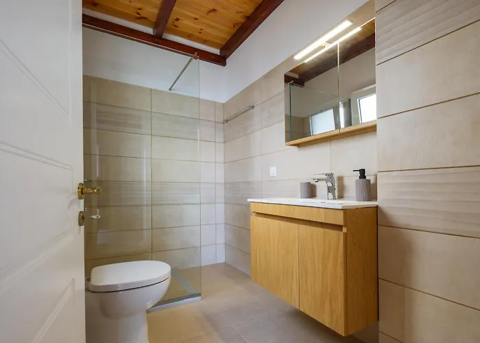 וילה Elli Epavlis Private Pool Starlink Wifi Near Barbati *